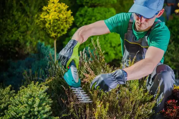 landscaping services Doyline